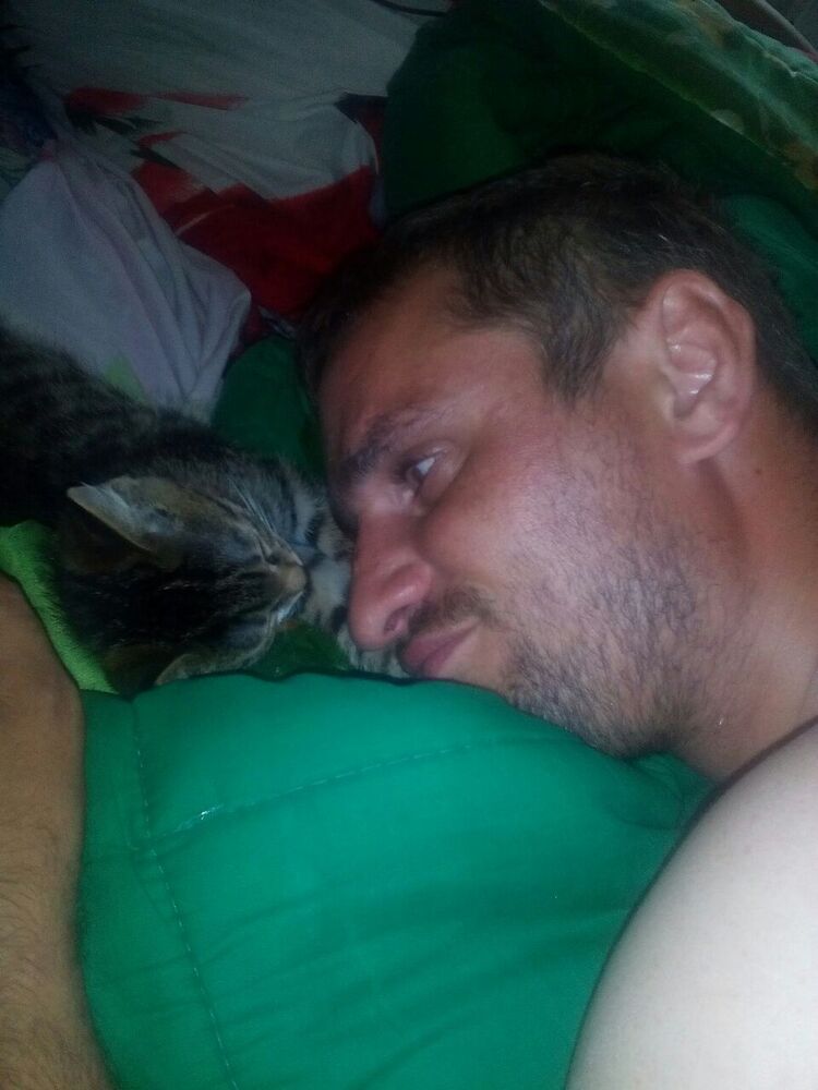 ���������� �������, ���� ������� ������, 38 ���, ������������ ��� ������