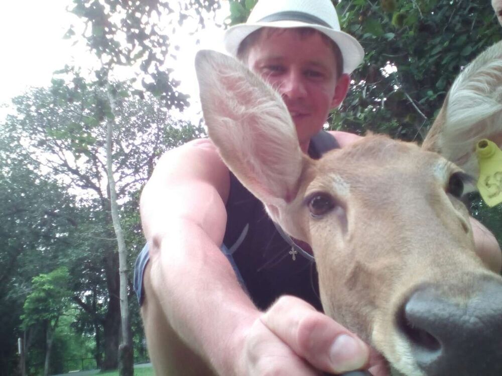 ���� 13777438 ������� �����, 38 ���, ���� ���������� � �����-���������