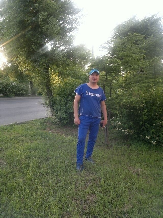 16738158  , 39 ,    