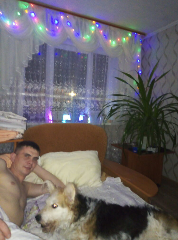  -,   , 37 ,   ,   , c 