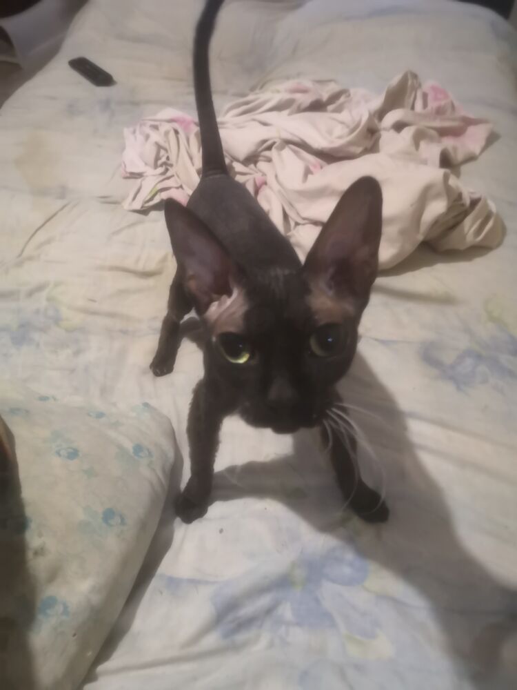  ,   , 50 ,   ,   