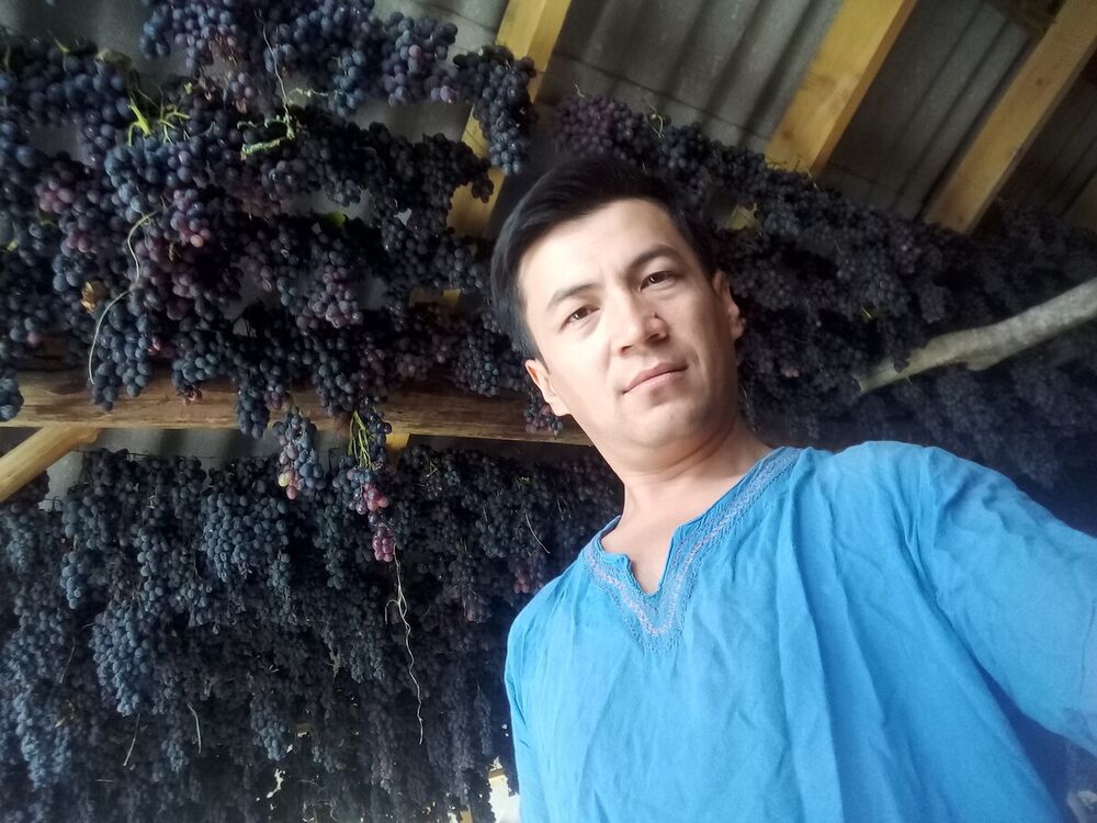 ���������� ���������, ���� ������� ArslaN, 37 ���, ������������ ��� ������, ����� � ���������, ���������