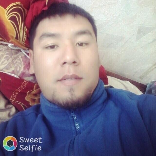 ���� 21321778 ������� �����, 38 ���, ���� ���������� � �������