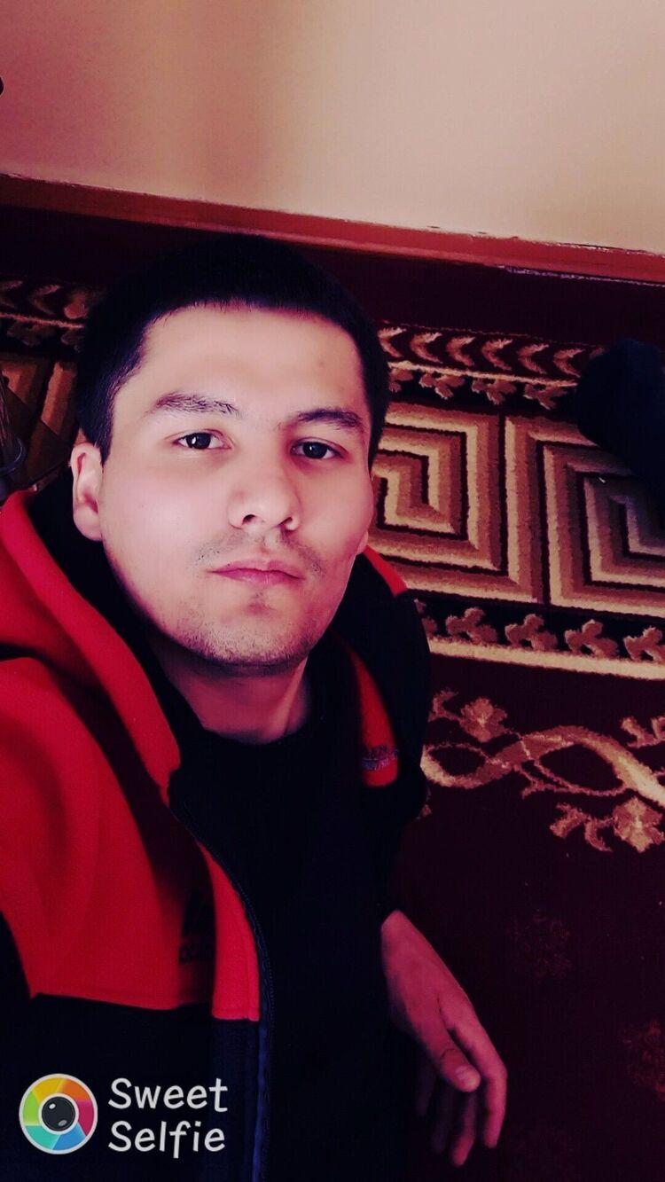  26215388  , 33 ,    --