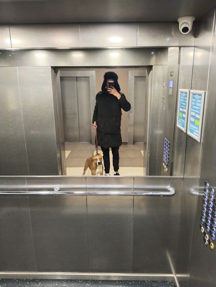  40562558  Denis, 35 ,    -