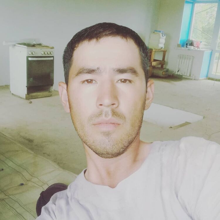  --,   , 37 ,   ,   