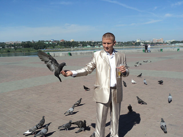 ���� 37254938 ������� ����, 39 ���, ���� ���������� � ��������