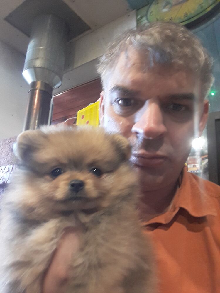 ���� 27370388 ������� �����, 45 ���, ���� ���������� � �������������