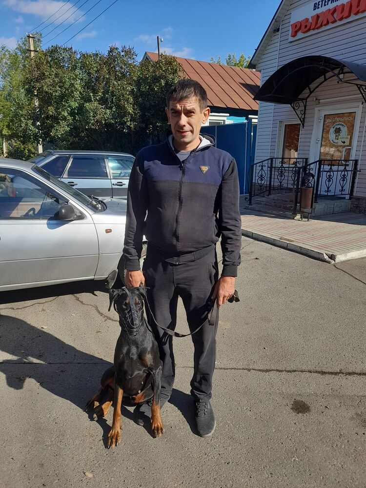 ���� 24087808 ������� ��������, 40 ���, ���� ���������� � ���������