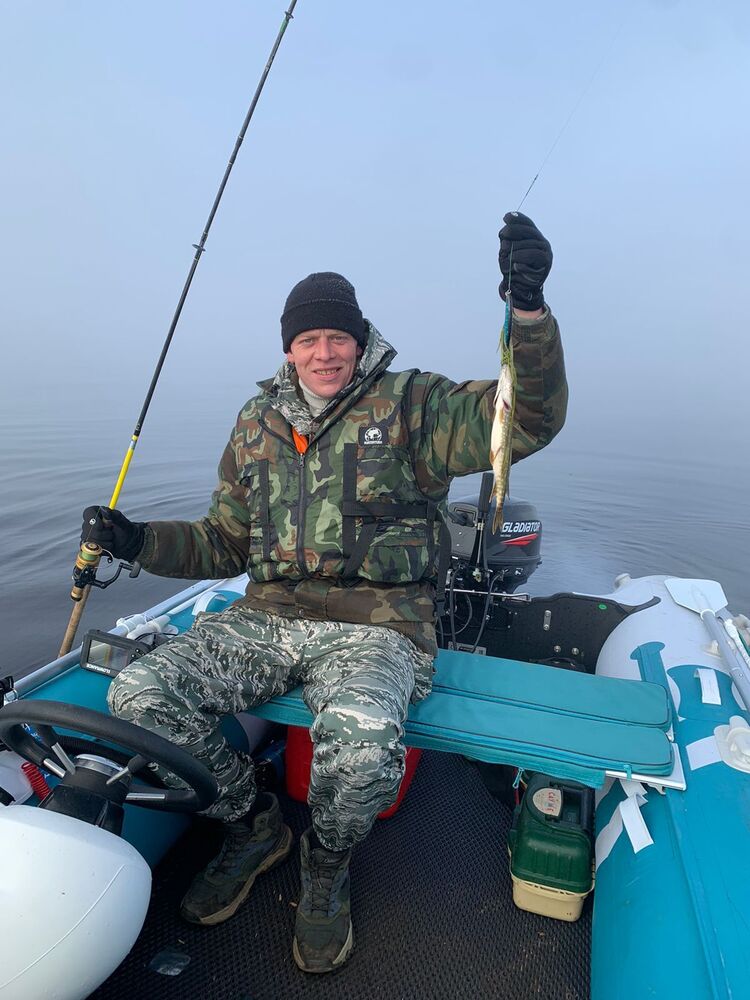  54348318  , 38 ,    -