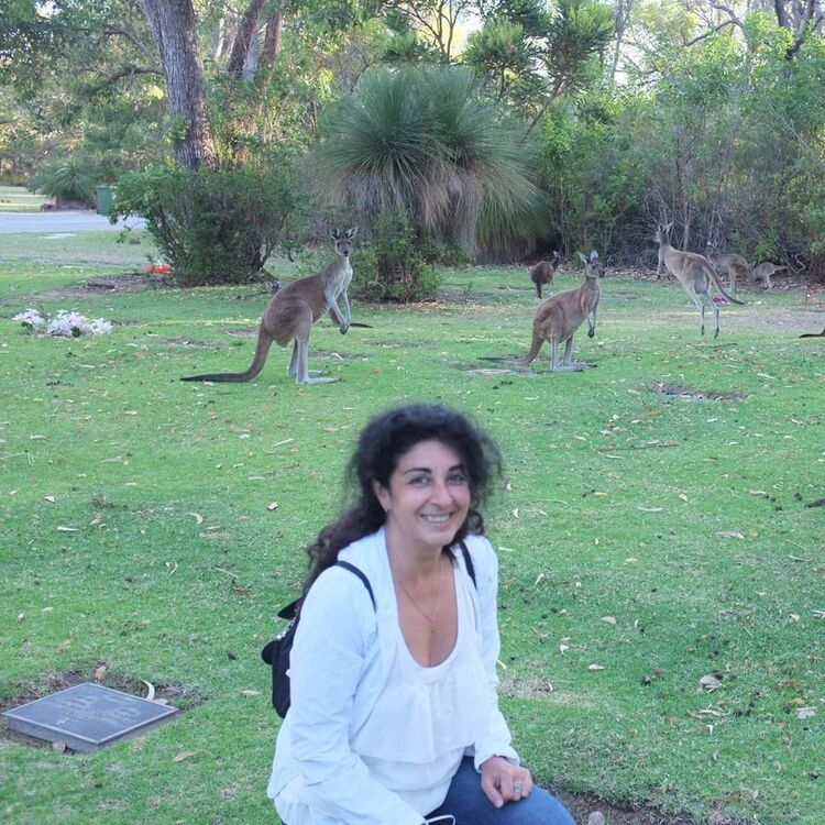 ���������� ������, ���� ������� ���, 54 ����, ������������ ��� ������, ����� � ���������, c�������� ���������