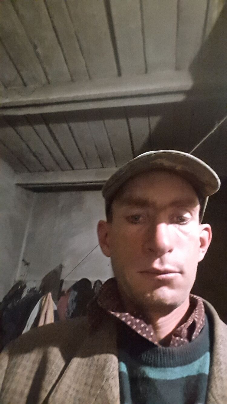  29931018  , 36 ,    