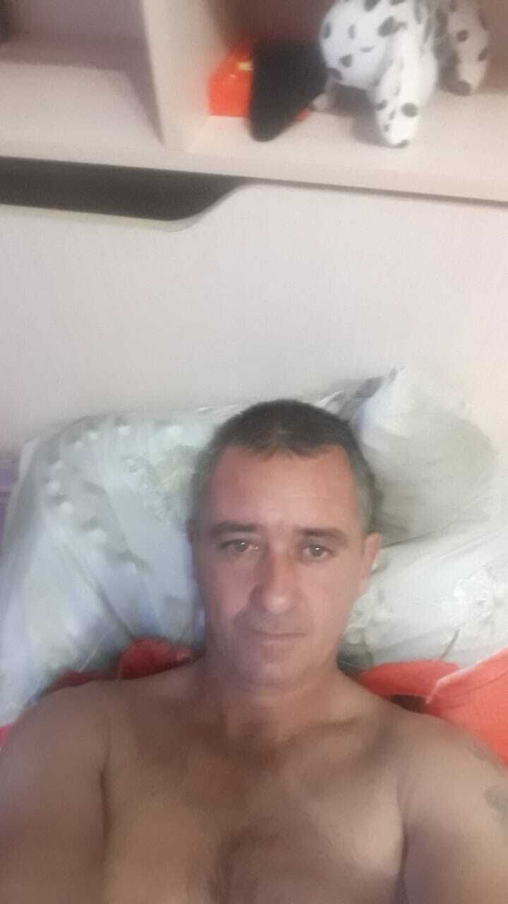  33584928  , 44 ,    