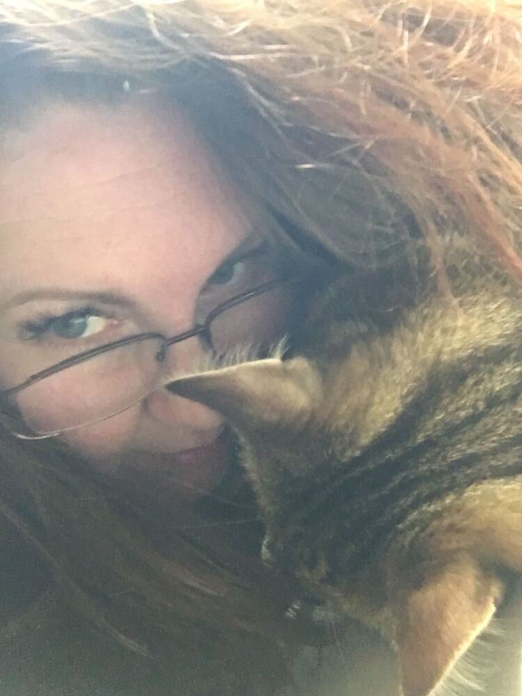 ���������� �����, ���� ������� ���������, 41 ���, ������������ ��� ����� � ���������, c�������� ���������