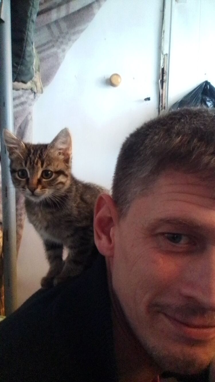 ���� 33401468 ������� ������, 38 ���, ���� ���������� � ����������