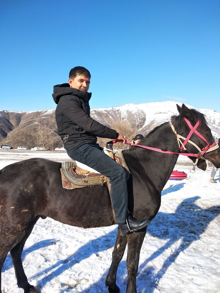 ���������� �������, ���� ������� �����, 47 ���, ������������ ��� ������, ����� � ���������