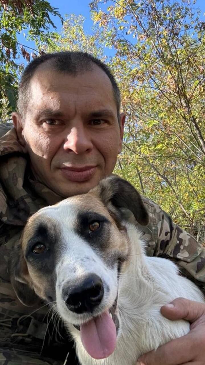 ���� 51494698 ������� �����, 45 ���, ���� ���������� � ������