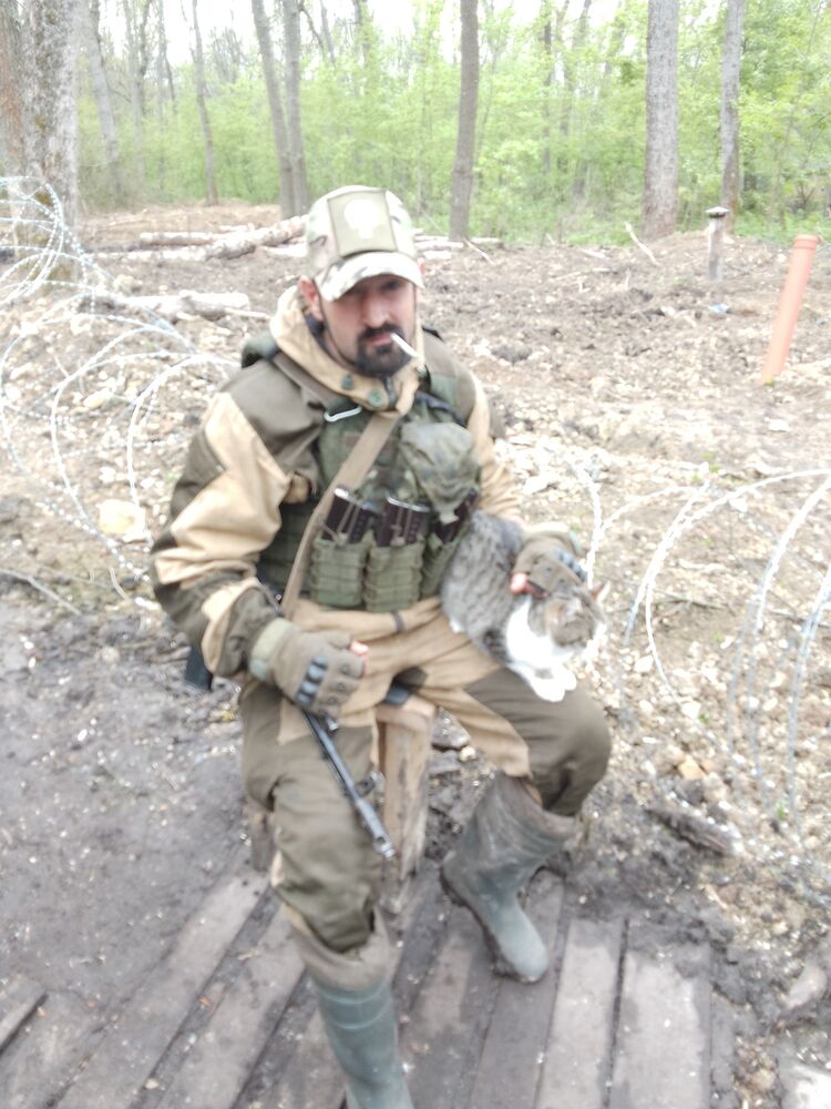 ���������� ������, ���� ������� ������� ���, 38 ���, ������������ ��� ������, ����� � ���������, c�������� ���������, ���������