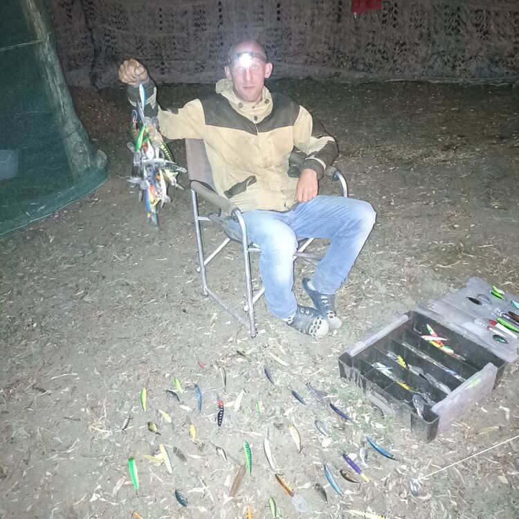  -,   , 39 ,   ,   