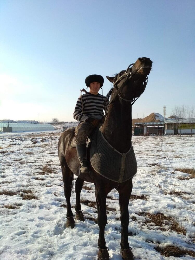 ���������� ������, ���� ������� ���������, 32 ����, ������������ ��� ����� � ���������, c�������� ���������