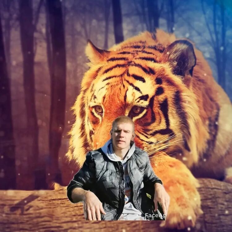 ���� 32796758 ������� Vlad, 31 ���, ���� ���������� � ����������