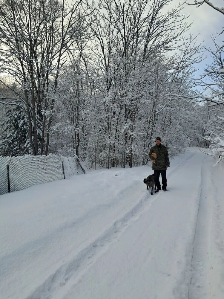 ���������� �������, ���� ������� ���������, 46 ���, ������������ ��� c�������� ���������