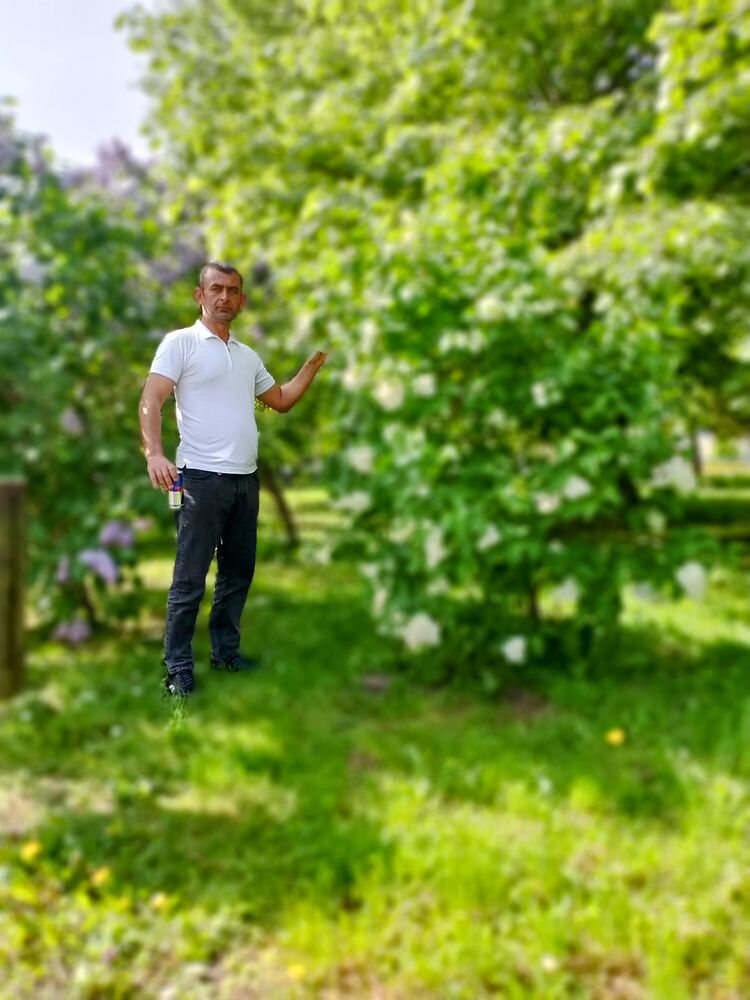  ,   Zakir, 41 ,   ,   , c , 