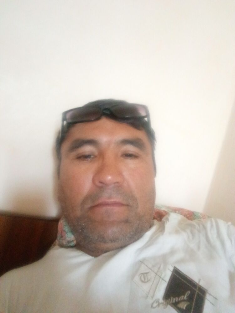  45755078  , 51 ,    