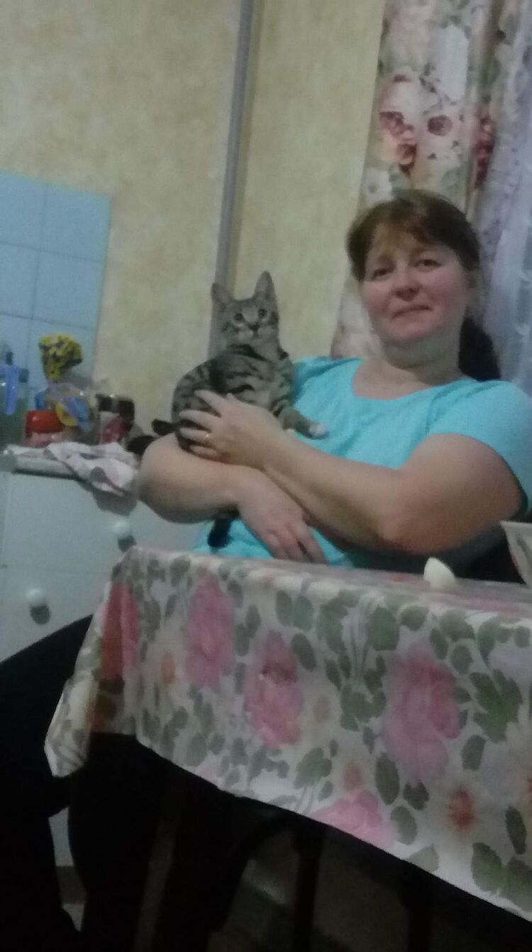  -,   , 50 ,   c 