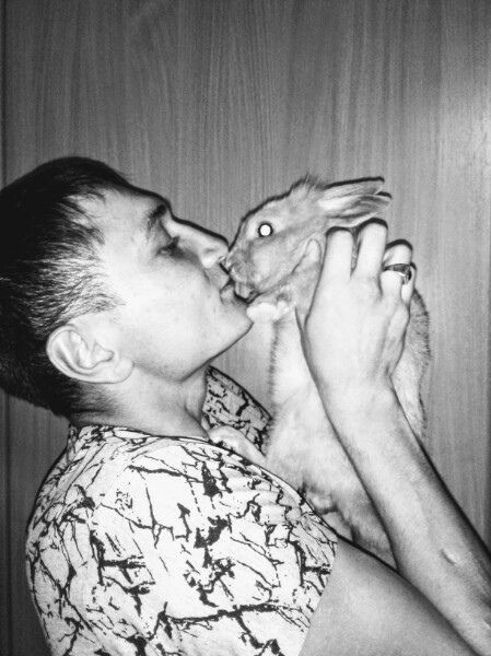 ���������� ���������� �����, ���� ������� �������, 31 ���, ������������ ��� ������, ����� � ���������, c�������� ���������, ���������