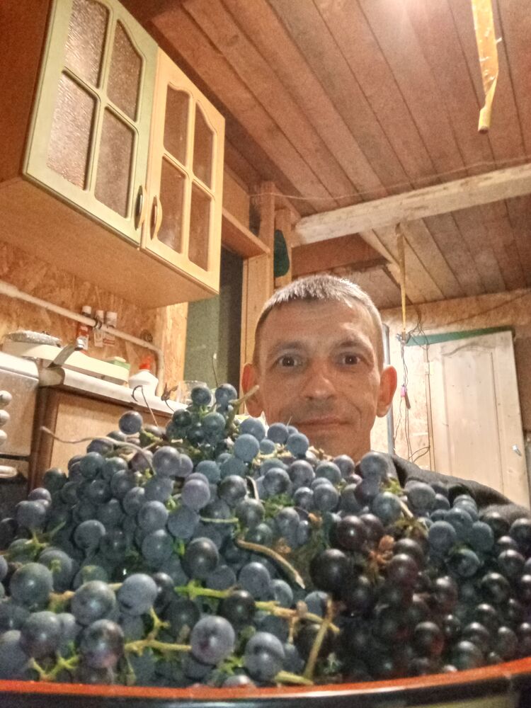 ���������� �����������, ���� ������� �������, 43 ����, ������������ ��� ������, ����� � ���������, c�������� ���������, ���������