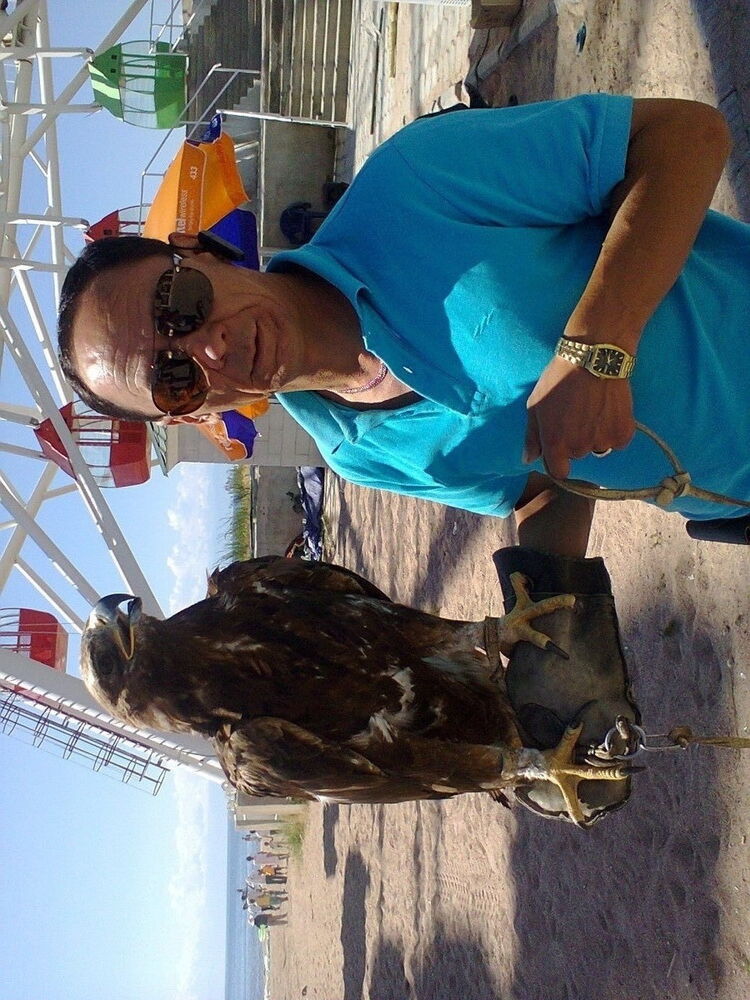  ,   , 59 ,   