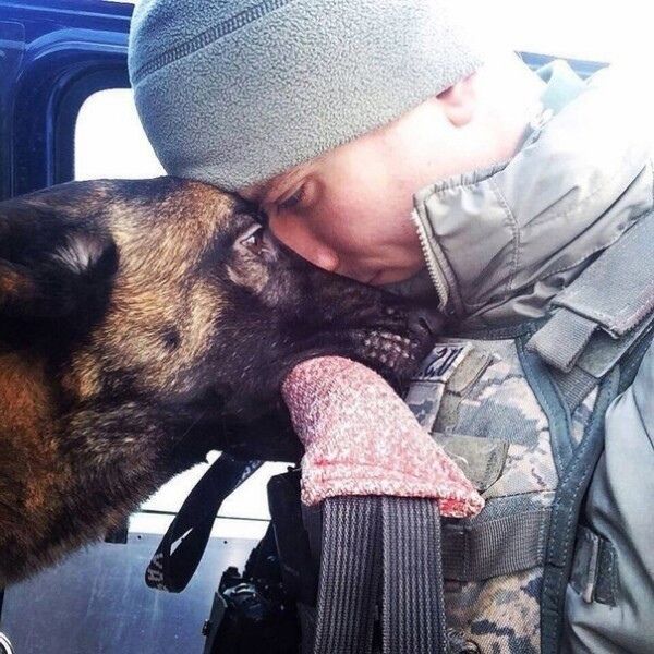 ���� 29035718 ������� ����, 30 ���, ���� ���������� � �����