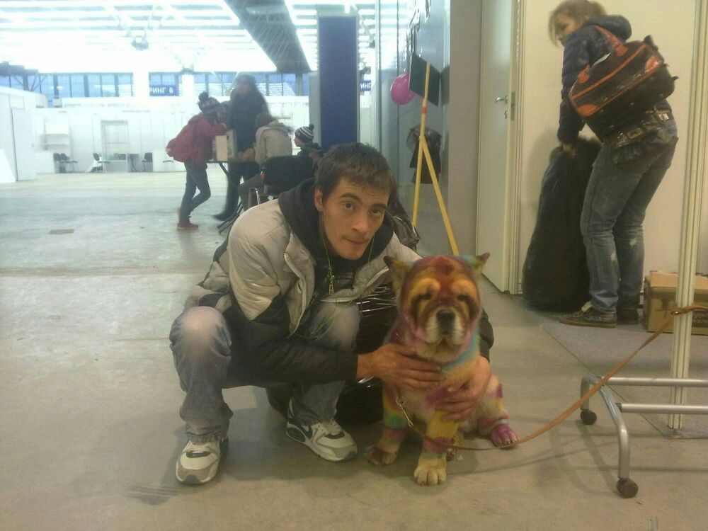 ���� 55446168 ������� ����, 38 ���, ���� ���������� � �����