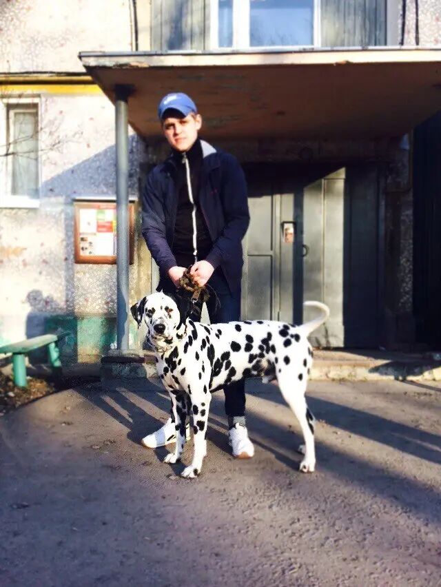 ���������� �����, ���� ������� Tgftgf, 30 ���, ������������ ��� ������, ����� � ���������