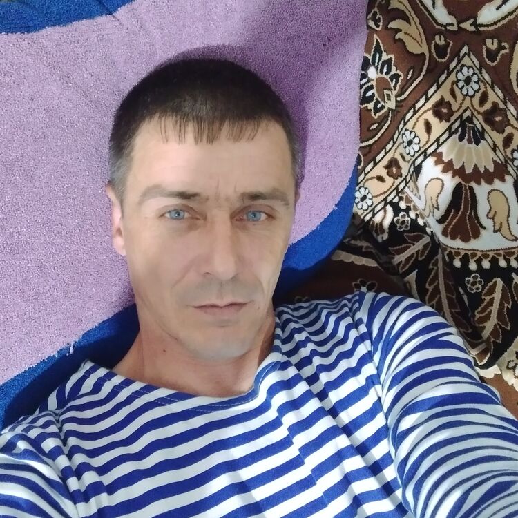  46808718  , 38 ,    