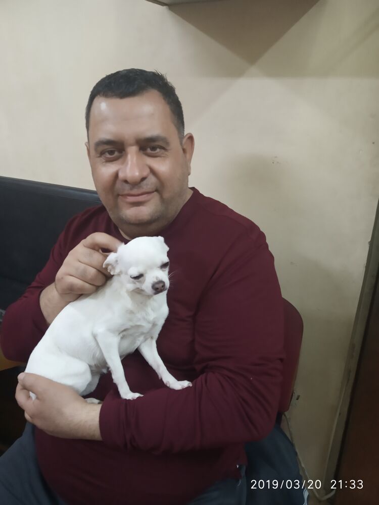 ���� 34179188 ������� �����, 50 ���, ���� ���������� � ��������