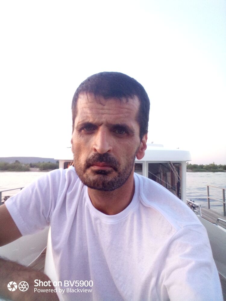 ���� 25005308 ������� �����, 50 ���, ���� ���������� � ������