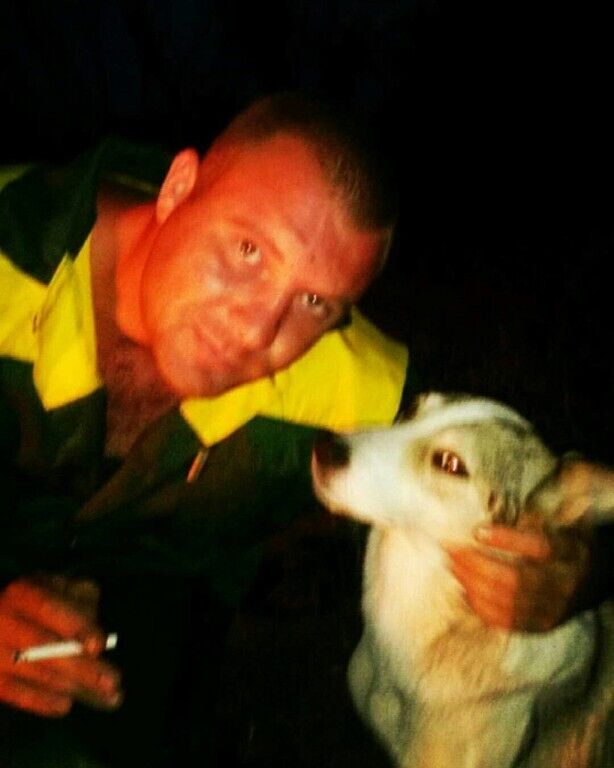 ���������� ������, ���� ������� ���������, 38 ���, ������������ ��� ������, ����� � ���������