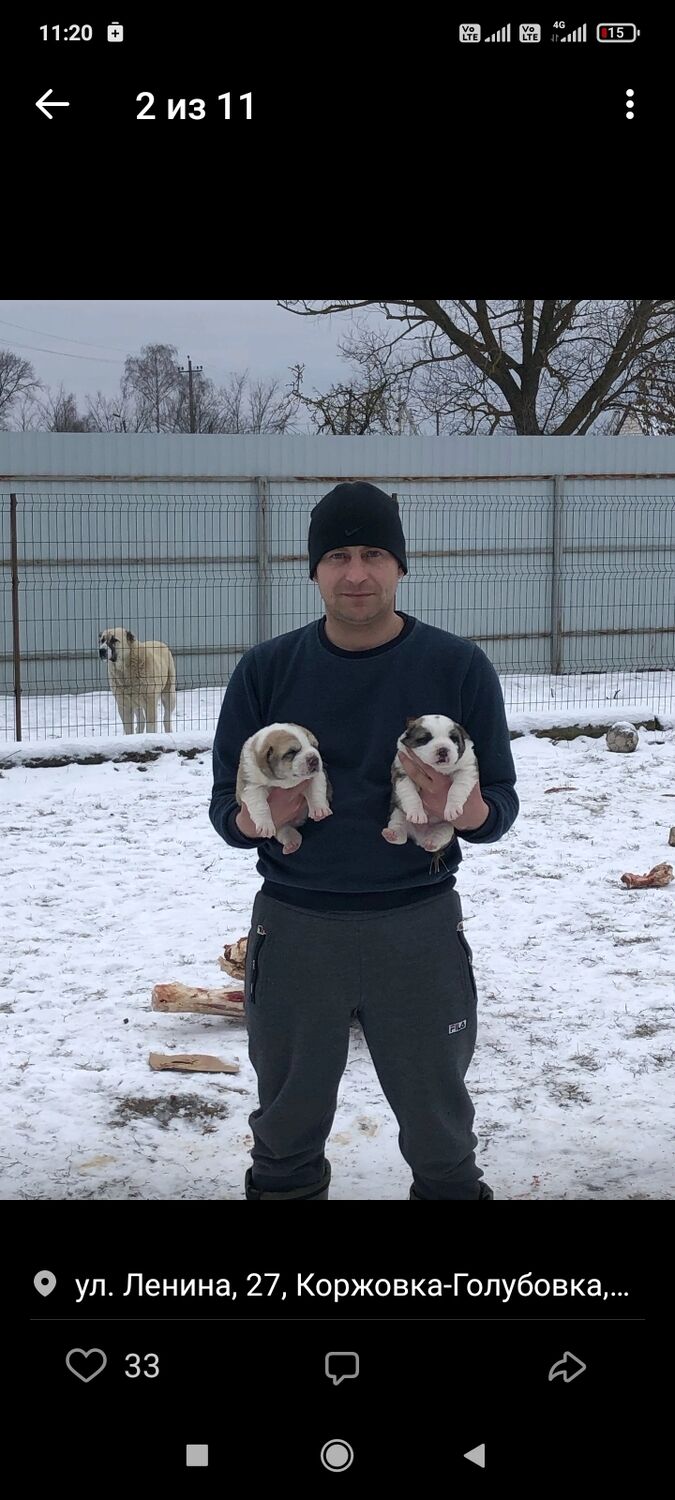 ���� 27290888 ������� ������, 42 ����, ���� ���������� � ������