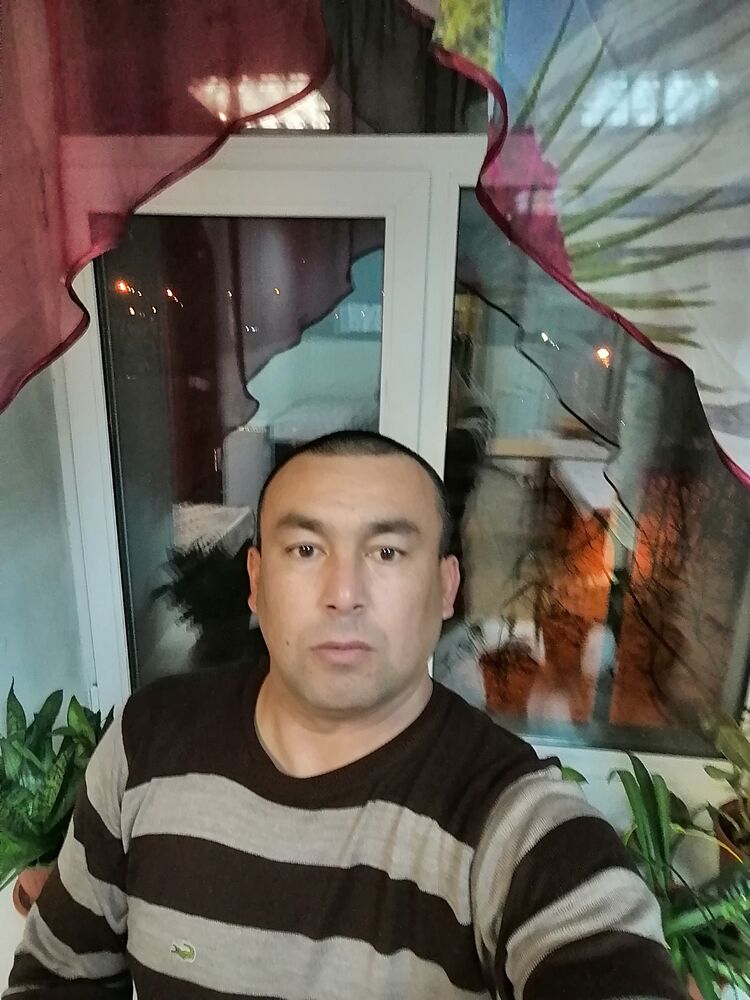 ���� 23609528 ������� ����, 38 ���, ���� ���������� � ��������