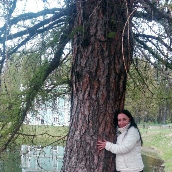 ���������� ������, ���� ������� ���������, 45 ���, ������������ ��� ����� � ���������, c�������� ���������