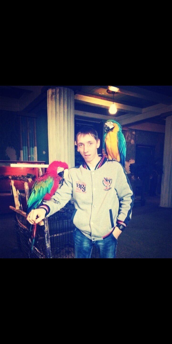 ���� 23687098 ������� ����, 33 ����, ���� ���������� � ����������