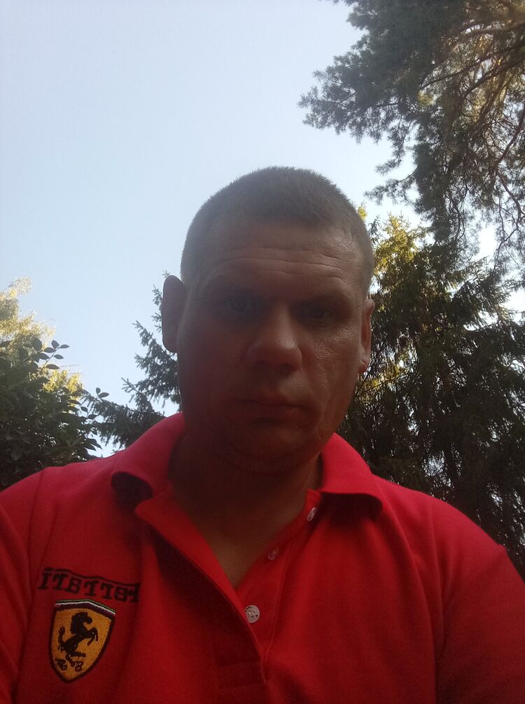  40595128  , 43 ,    