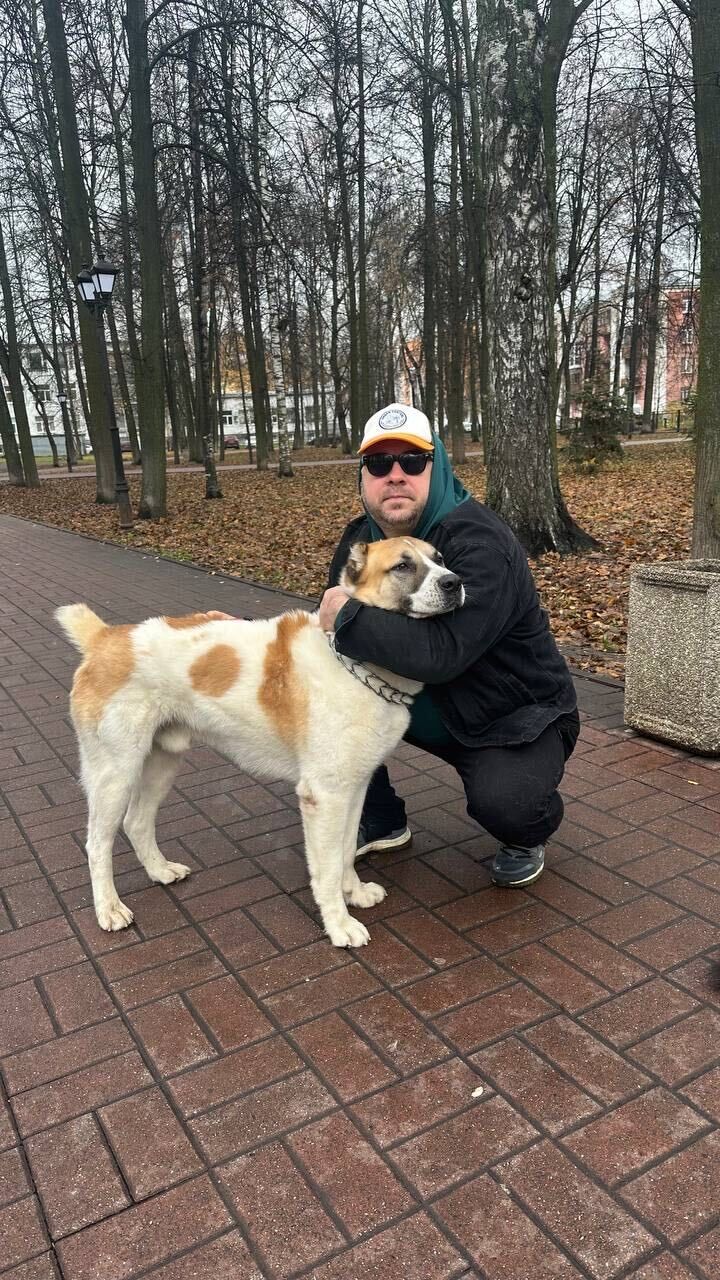 ���� 55524678 ������� ������, 42 ����, ���� ���������� � ���������