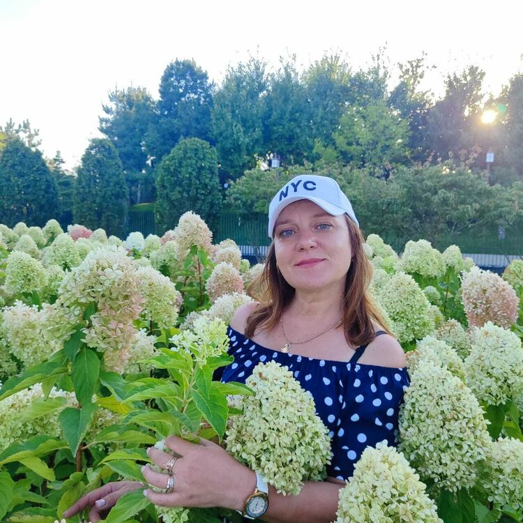 ���� 53648998 ������� �����, 47 ���, ���� ���������� � ���������