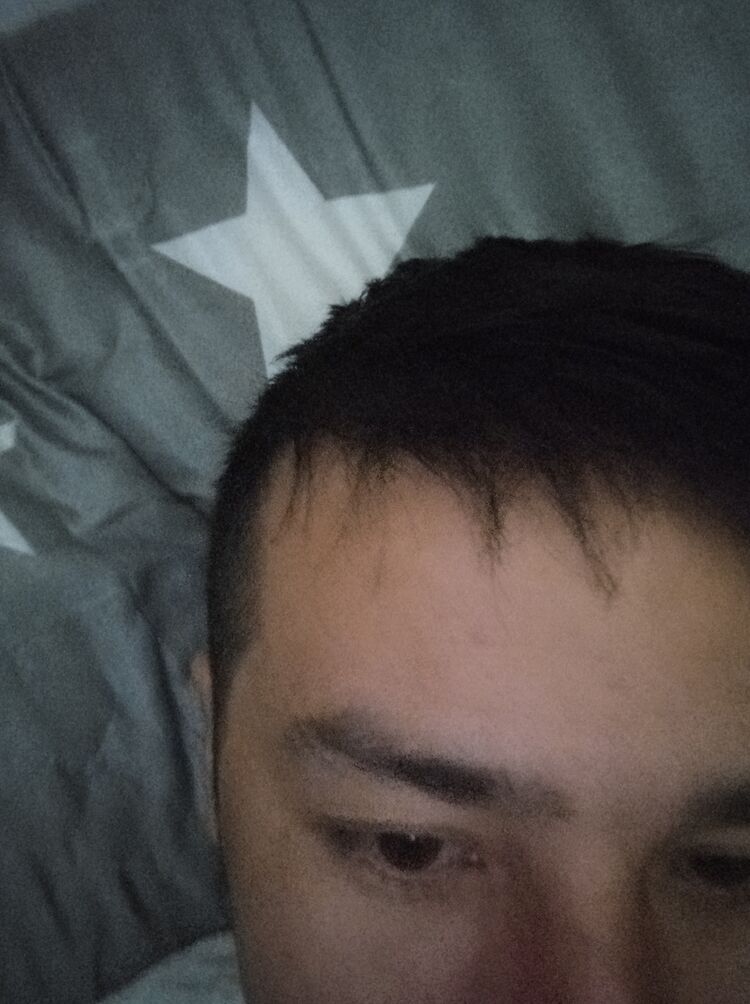  24424618  , 31 ,    