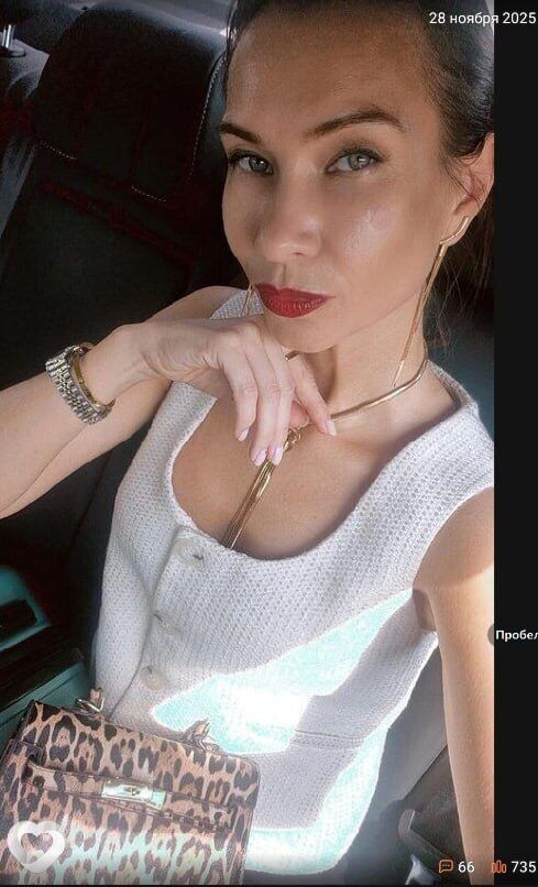 ���� 56204138 ������� ������, 36 ���, ���� ���������� � �������