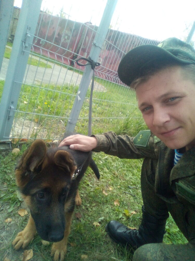 ���������� �������, ���� ������� SSeennyya, 33 ����, ������������ ��� ������, ����� � ���������