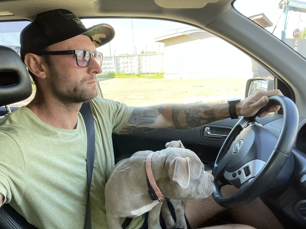 ���������� ������, ���� ������� �������, 36 ���, ������������ ��� ������, ����� � ���������